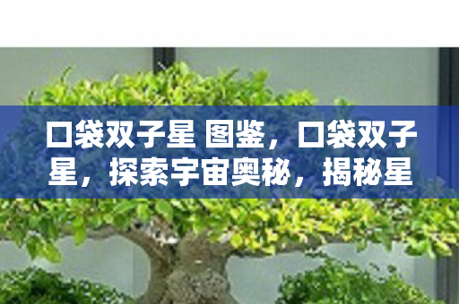 口袋双子星 图鉴，口袋双子星，探索宇宙奥秘，揭秘星座之谜