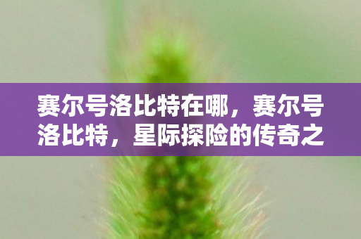 赛尔号洛比特在哪，赛尔号洛比特，星际探险的传奇之旅