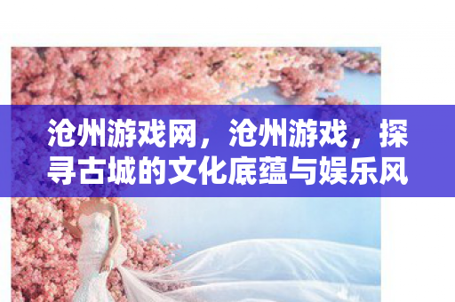 沧州游戏网,沧州游戏,探寻古城的文化底蕴与娱乐风尚 沧州游戏网,沧州游戏,探寻古城的文化底蕴与娱乐风尚