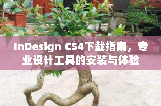 InDesign CS4下载指南，专业设计工具的安装与体验