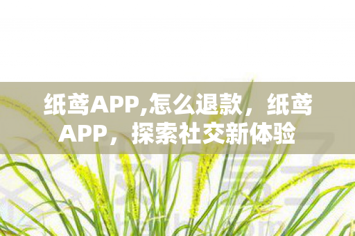 纸鸢APP,怎么退款，纸鸢APP，探索社交新体验