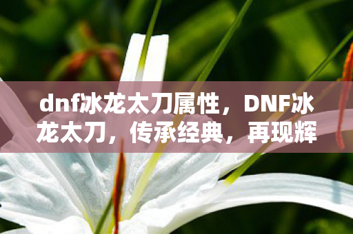 dnf冰龙太刀属性,DNF冰龙太刀,传承经典,再现辉煌 dnf冰龙太刀属性,DNF冰龙太刀,传承经典,再现辉煌