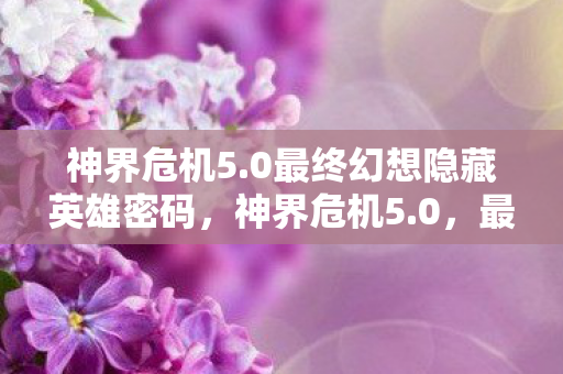 神界危机5.0最终幻想隐藏英雄密码，神界危机5.0，最终幻想的启示
