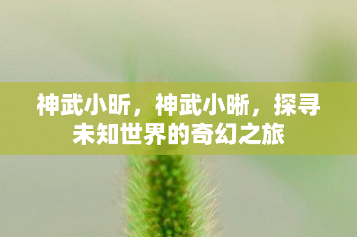 神武小昕，神武小晰，探寻未知世界的奇幻之旅