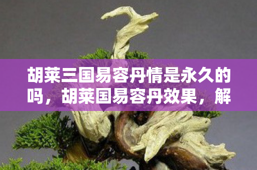 胡莱三国易容丹情是永久的吗，胡莱国易容丹效果，解锁全新角色外观，提升游戏乐趣