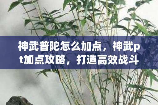 神武普陀怎么加点，神武pt加点攻略，打造高效战斗力的必备技巧