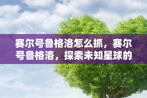 赛尔号鲁格洛怎么抓，赛尔号鲁格洛，探索未知星球的奇妙之旅