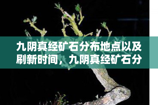 九阴真经矿石分布地点以及刷新时间，九阴真经矿石分布详解