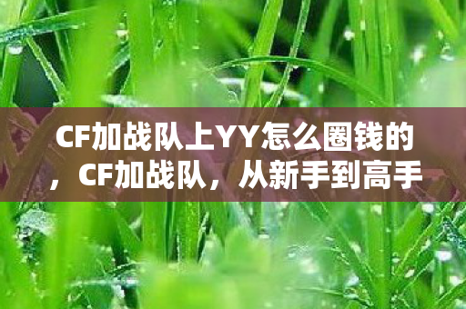 CF加战队上YY怎么圈钱的，CF加战队，从新手到高手的必经之路