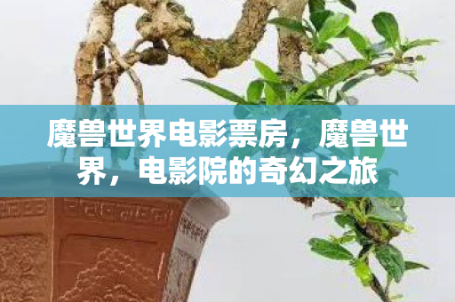 魔兽世界电影票房，魔兽世界，电影院的奇幻之旅