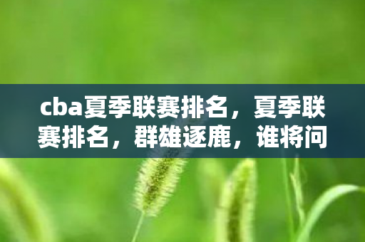cba夏季联赛排名，夏季联赛排名，群雄逐鹿，谁将问鼎？