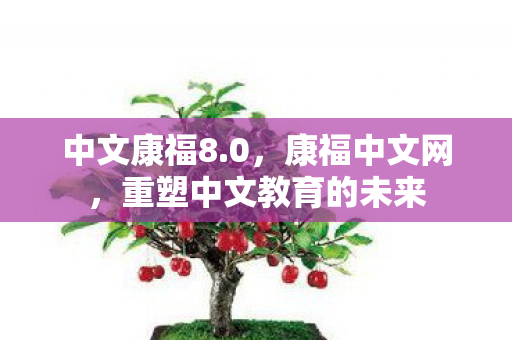 中文康福8.0,康福中文网,重塑中文教育的未来 中文康福8.0,康福中文网,重塑中文教育的未来
