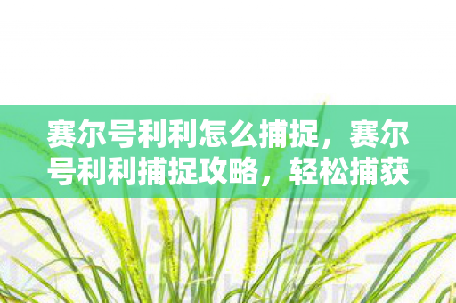 赛尔号利利怎么捕捉，赛尔号利利捕捉攻略，轻松捕获萌宠利利