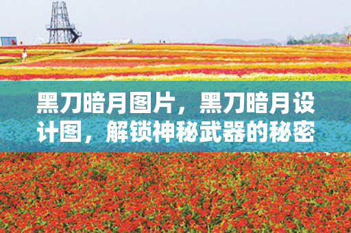 黑刀暗月图片,黑刀暗月设计图,解锁神秘武器的秘密 黑刀暗月图片,黑刀暗月设计图,解锁神秘武器的秘密