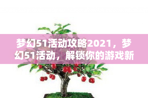 梦幻51活动攻略2021，梦幻51活动，解锁你的游戏新体验