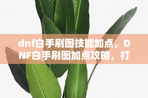 dnf白手刷图技能加点，DNF白手刷图加点攻略，打造高效战斗风格