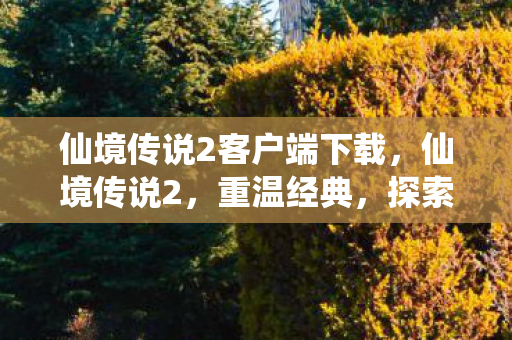 仙境传说2客户端下载，仙境传说2，重温经典，探索未知