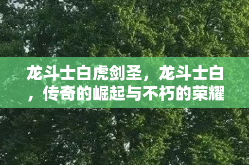 龙斗士白虎剑圣,龙斗士白,传奇的崛起与不朽的荣耀 龙斗士白虎剑圣,龙斗士白,传奇的崛起与不朽的荣耀