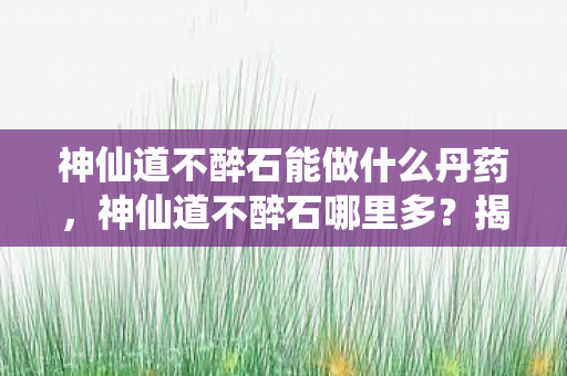 神仙道不醉石能做什么丹药，神仙道不醉石哪里多？揭秘游戏中的神秘宝藏