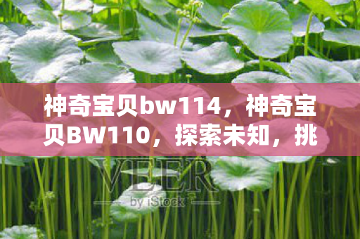神奇宝贝bw114，神奇宝贝BW110，探索未知，挑战极限