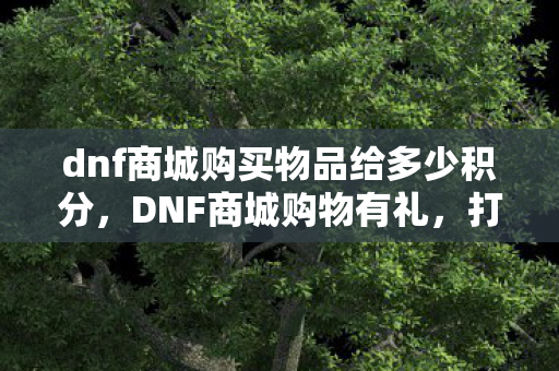 dnf商城购买物品给多少积分，DNF商城购物有礼，打造你的专属游戏天堂