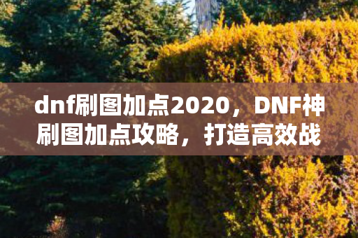 dnf刷图加点2020,DNF神刷图加点攻略,打造高效战斗力的关键 dnf刷图加点2020,DNF神刷图加点攻略,打造高效战斗力的关键