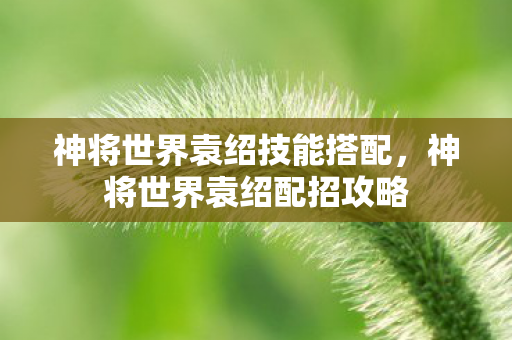 神将世界袁绍技能搭配，神将世界袁绍配招攻略