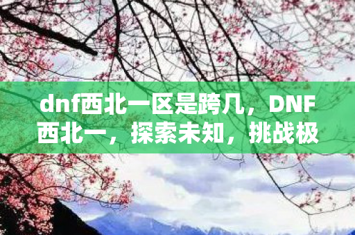 dnf西北一区是跨几,DNF西北一,探索未知,挑战极限 dnf西北一区是跨几,DNF西北一,探索未知,挑战极限