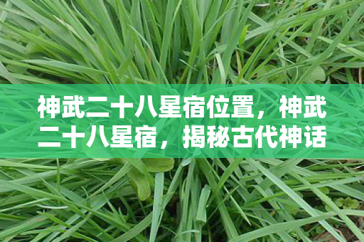 神武二十八星宿位置，神武二十八星宿，揭秘古代神话中的神秘力量