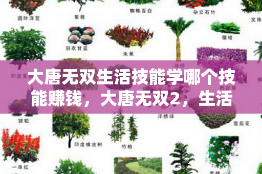 大唐无双生活技能学哪个技能赚钱，大唐无双2，生活技能全解析