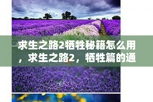 求生之路2牺牲秘籍怎么用，求生之路2，牺牲篇的通关秘籍与策略指南