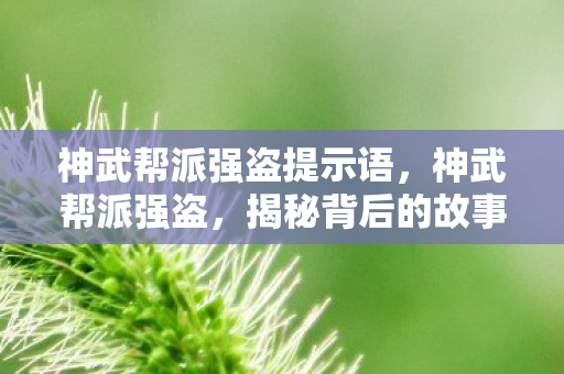 神武帮派强盗提示语，神武帮派强盗，揭秘背后的故事与策略应对