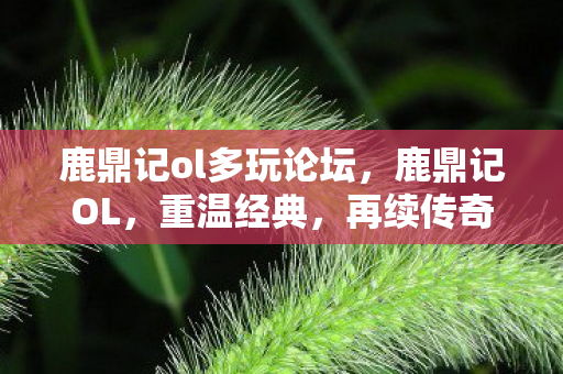鹿鼎记ol多玩论坛，鹿鼎记OL，重温经典，再续传奇