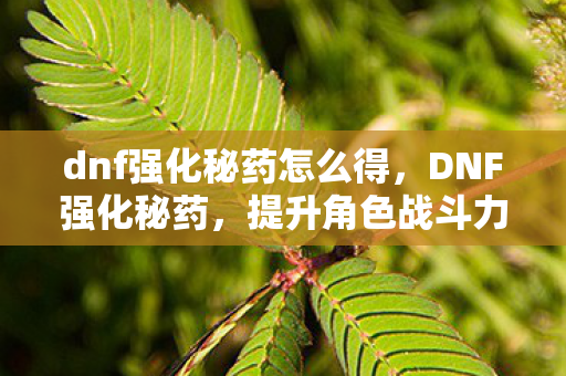 dnf强化秘药怎么得，DNF强化秘药，提升角色战斗力的神秘药剂