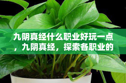 九阴真经什么职业好玩一点，九阴真经，探索各职业的乐趣