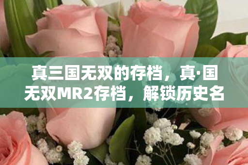 真三国无双的存档，真·国无双MR2存档，解锁历史名将的终极挑战