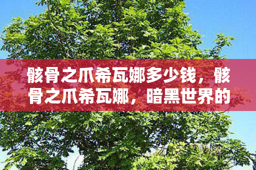 骸骨之爪希瓦娜多少钱,骸骨之爪希瓦娜,暗黑世界的猎手 骸骨之爪希瓦娜多少钱,骸骨之爪希瓦娜,暗黑世界的猎手