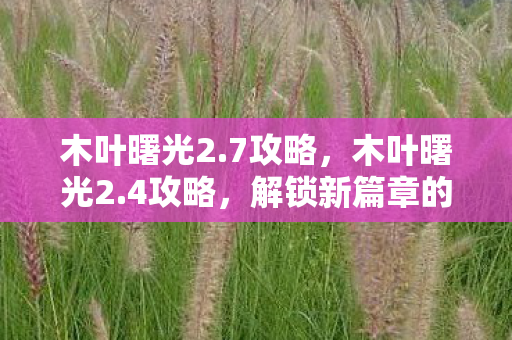 木叶曙光2.7攻略，木叶曙光2.4攻略，解锁新篇章的冒险之旅