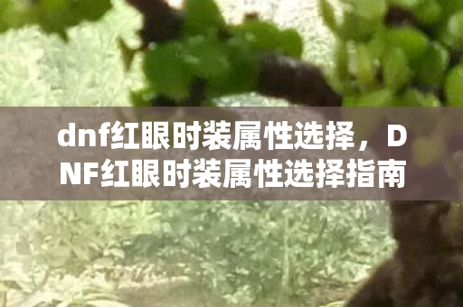 dnf红眼时装属性选择，DNF红眼时装属性选择指南，打造最强战斗力的必备攻略