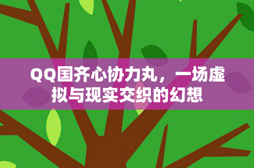 QQ国齐心协力丸，一场虚拟与现实交织的幻想