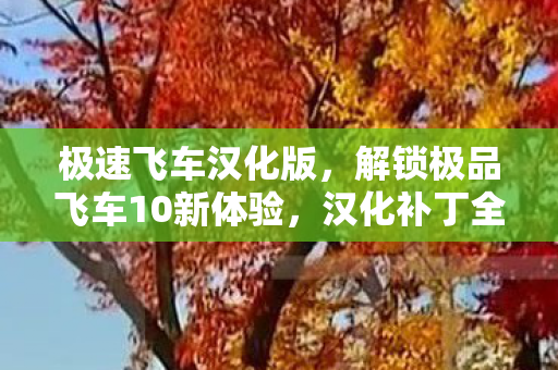 极速飞车汉化版，解锁极品飞车10新体验，汉化补丁全解析