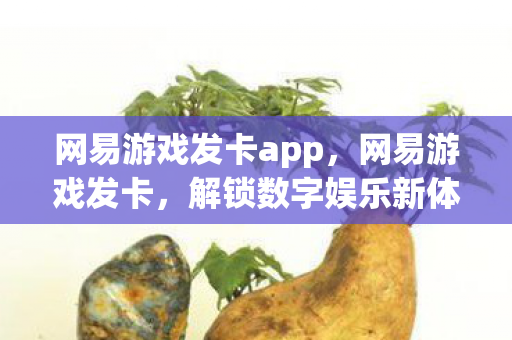 网易游戏发卡app，网易游戏发卡，解锁数字娱乐新体验