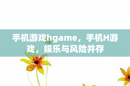 手机游戏hgame，手机H游戏，娱乐与风险并存