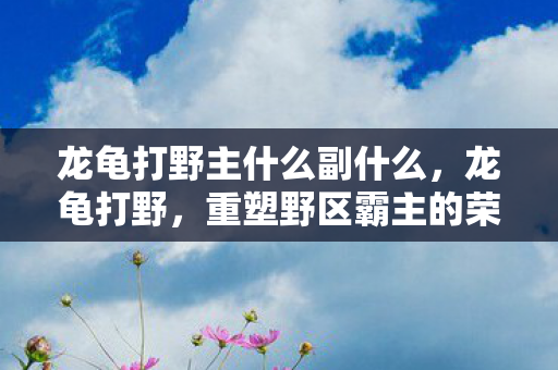 龙龟打野主什么副什么，龙龟打野，重塑野区霸主的荣耀