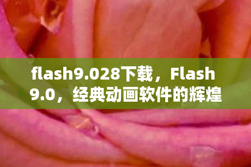 flash9.028下载，Flash 9.0，经典动画软件的辉煌与落幕