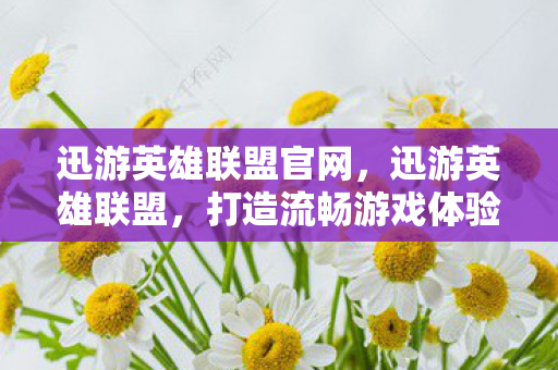 迅游英雄联盟官网,迅游英雄联盟,打造流畅游戏体验的秘诀 迅游英雄联盟官网,迅游英雄联盟,打造流畅游戏体验的秘诀