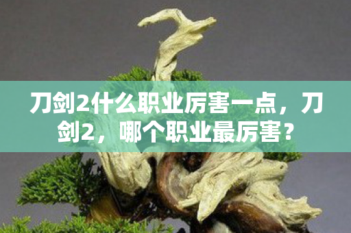 刀剑2什么职业厉害一点，刀剑2，哪个职业最厉害？