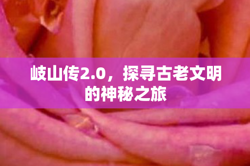 岐山传2.0，探寻古老文明的神秘之旅