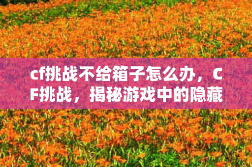 cf挑战不给箱子怎么办，CF挑战，揭秘游戏中的隐藏BUG
