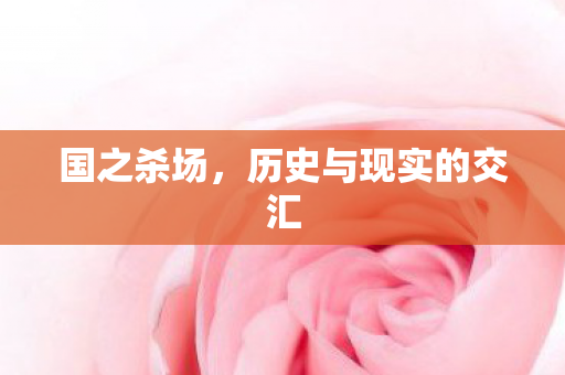 国之杀场，历史与现实的交汇